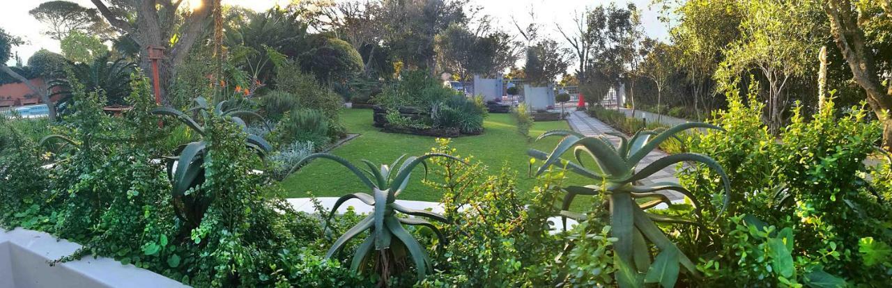 Gardenview Guest House Port Elizabeth Dış mekan fotoğraf