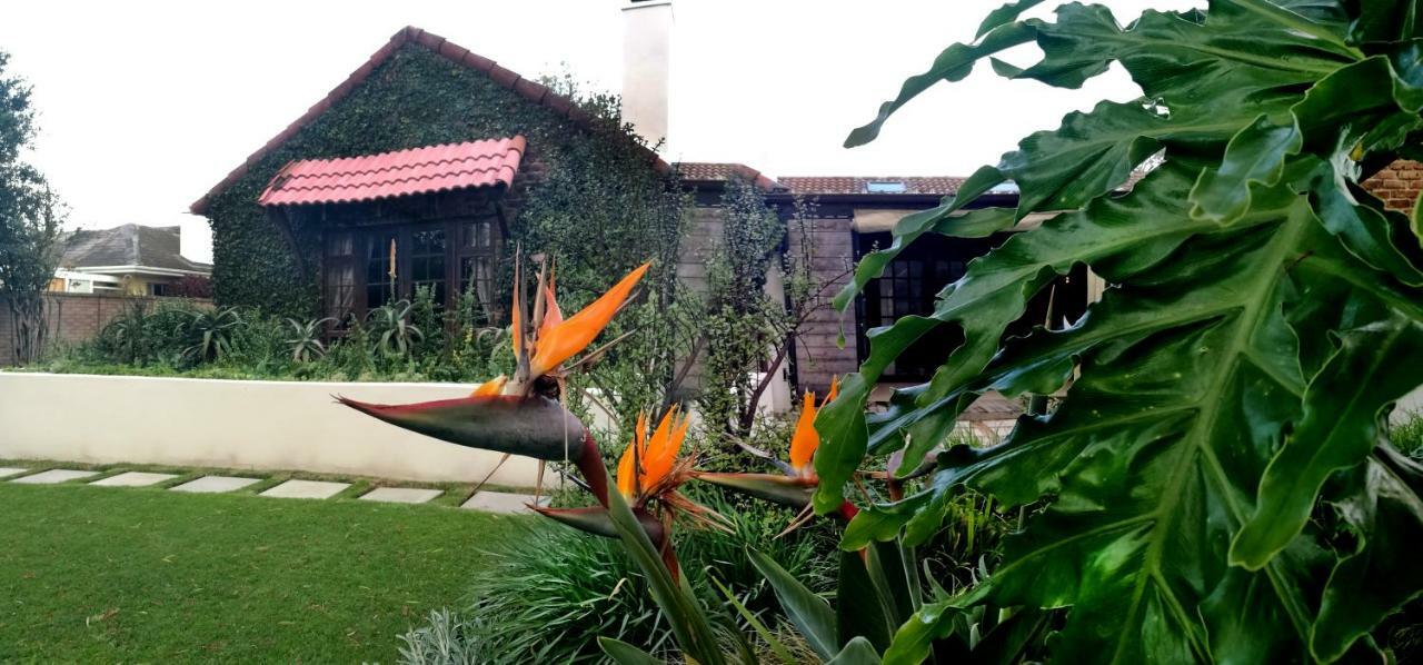 Gardenview Guest House Port Elizabeth Dış mekan fotoğraf
